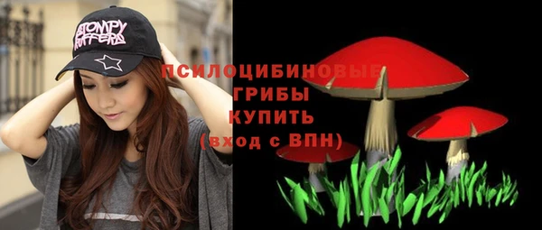 ALPHA PVP Верея