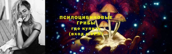 ALPHA PVP Верея